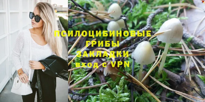 Галлюциногенные грибы Cubensis  mega tor  Жигулёвск 